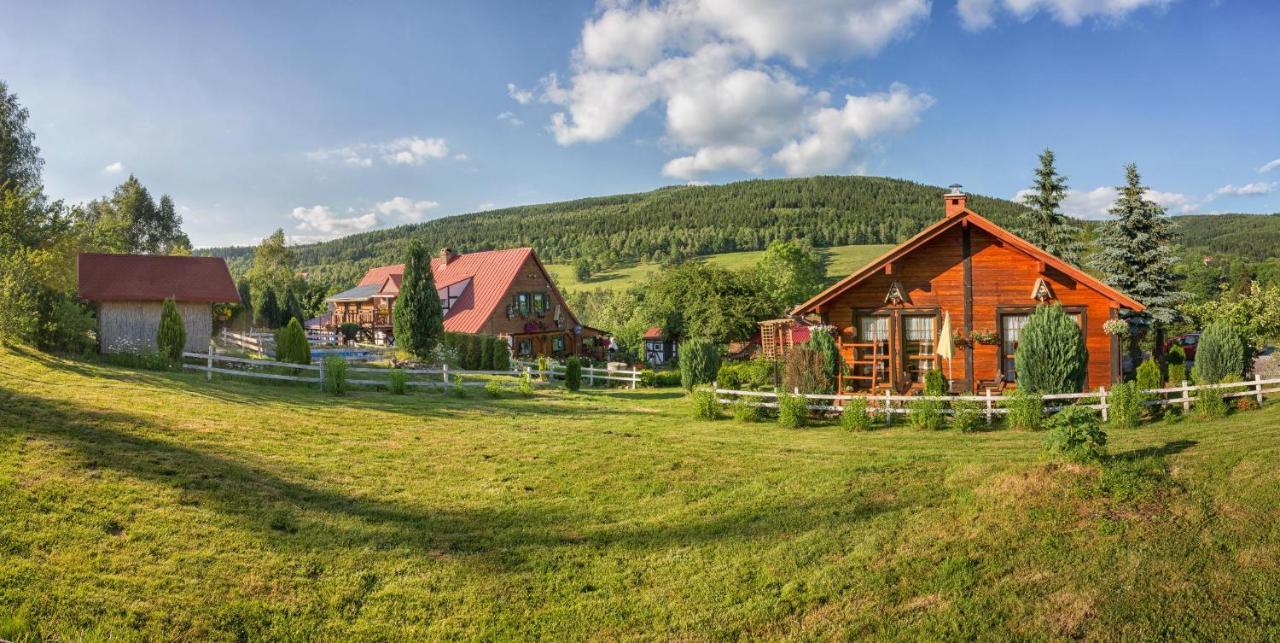 Gleboki Jar Apartment Swieradow-Zdroj Luaran gambar