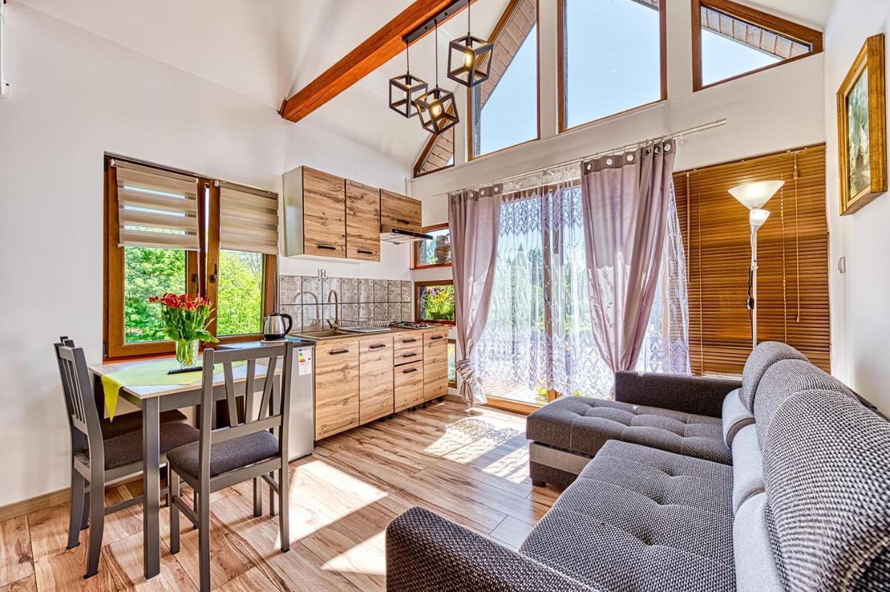 Gleboki Jar Apartment Swieradow-Zdroj Luaran gambar