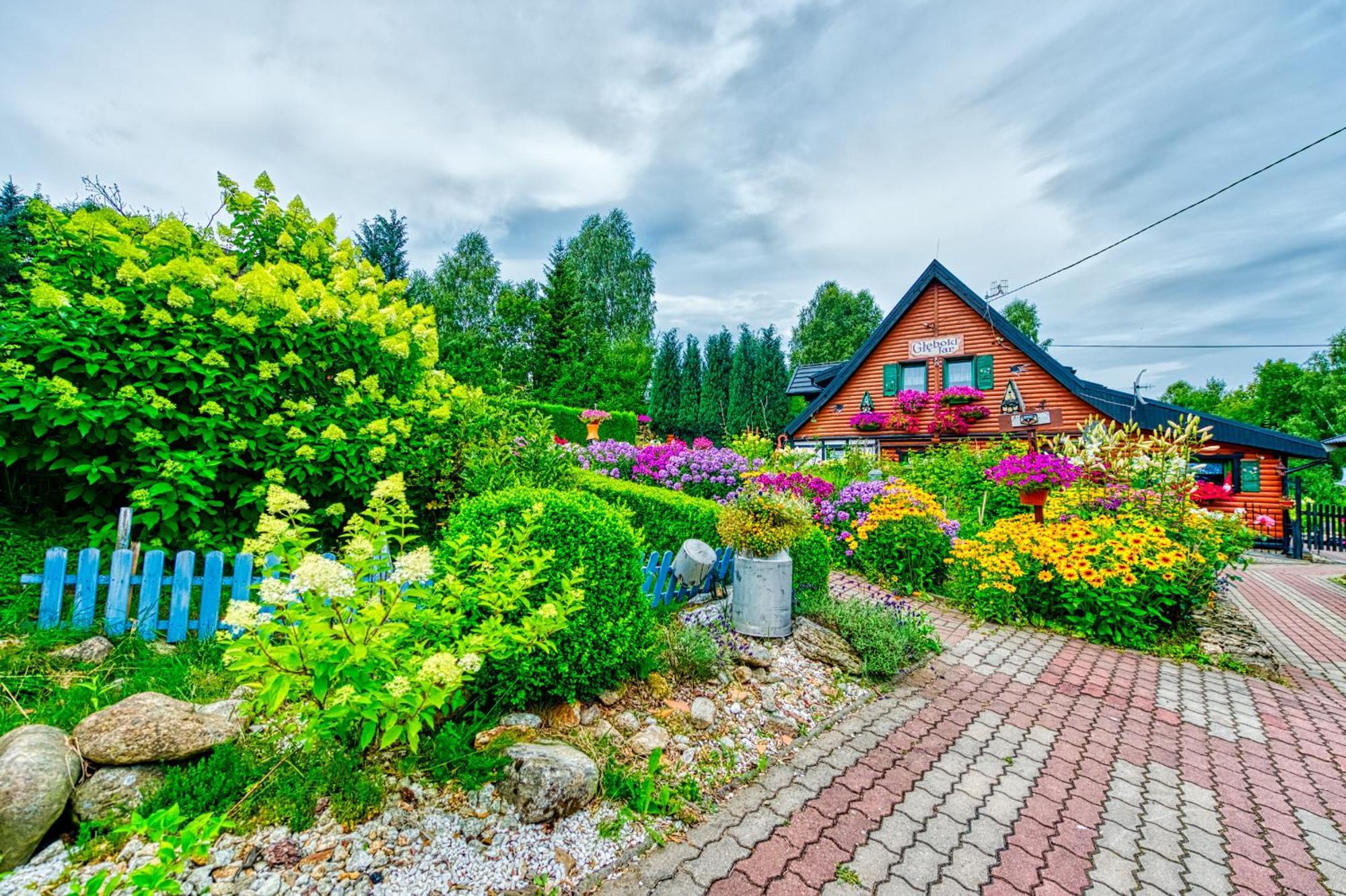 Gleboki Jar Apartment Swieradow-Zdroj Luaran gambar