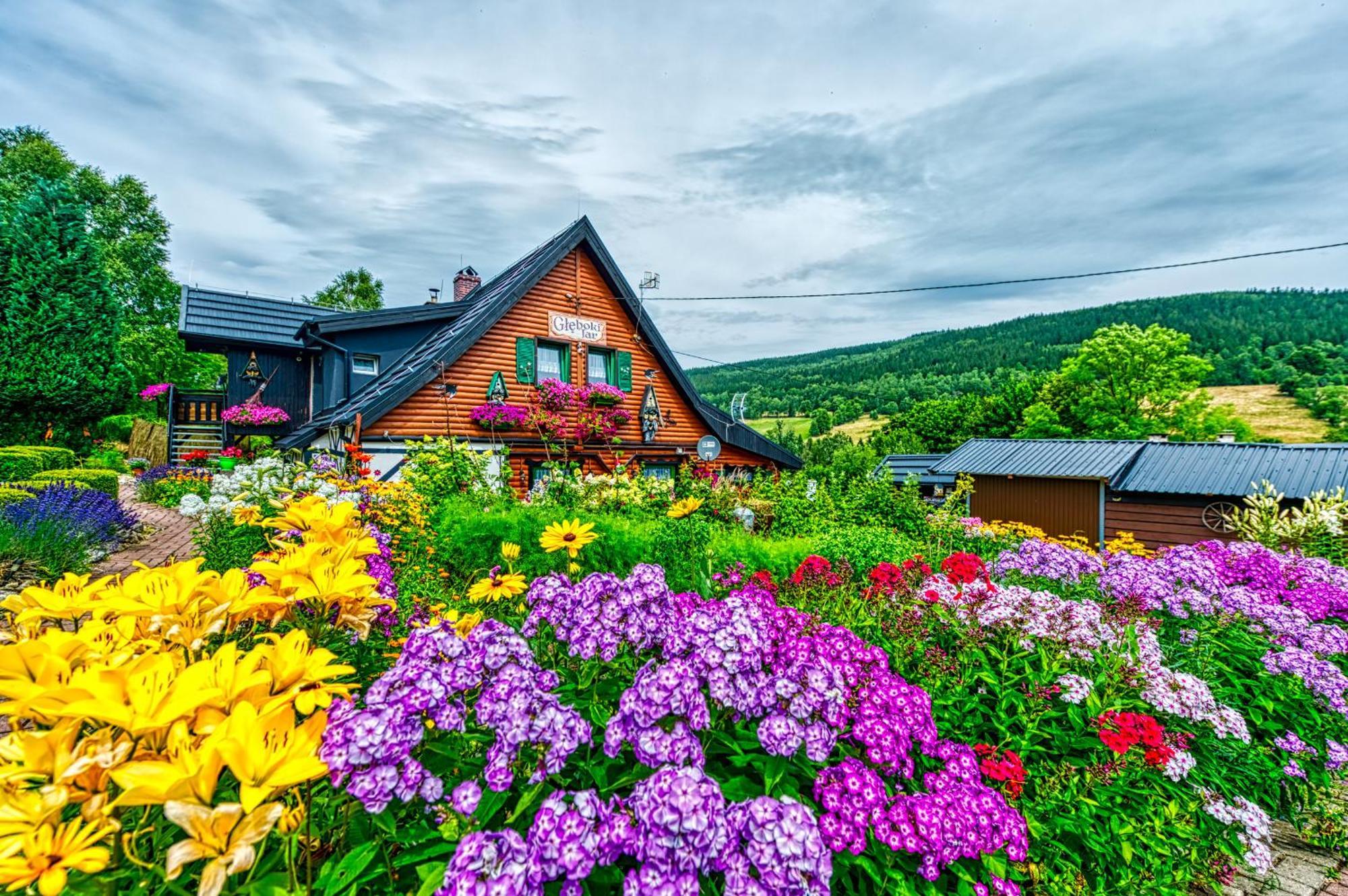 Gleboki Jar Apartment Swieradow-Zdroj Luaran gambar